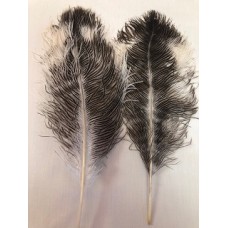 FEATHERS OSTRICH SPADS Natural 16" x 6"